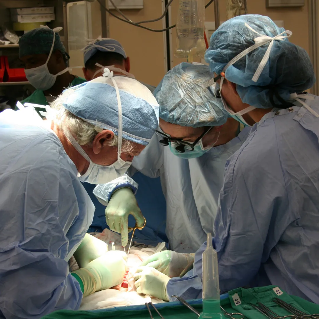 doctores en transplante renal